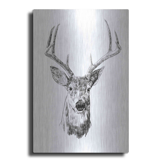 Luxe Metal Art 'Young Buck Sketch III' by Emma Scarvey, Metal Wall Art