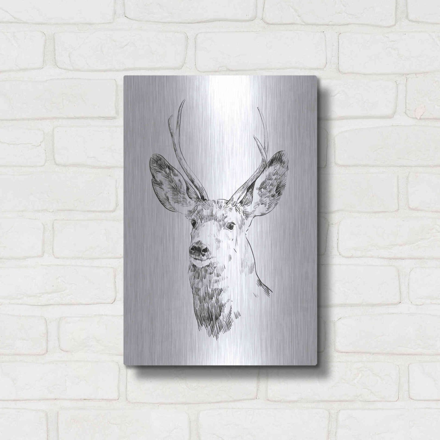 Luxe Metal Art 'Young Buck Sketch IV' by Emma Scarvey, Metal Wall Art,12x16