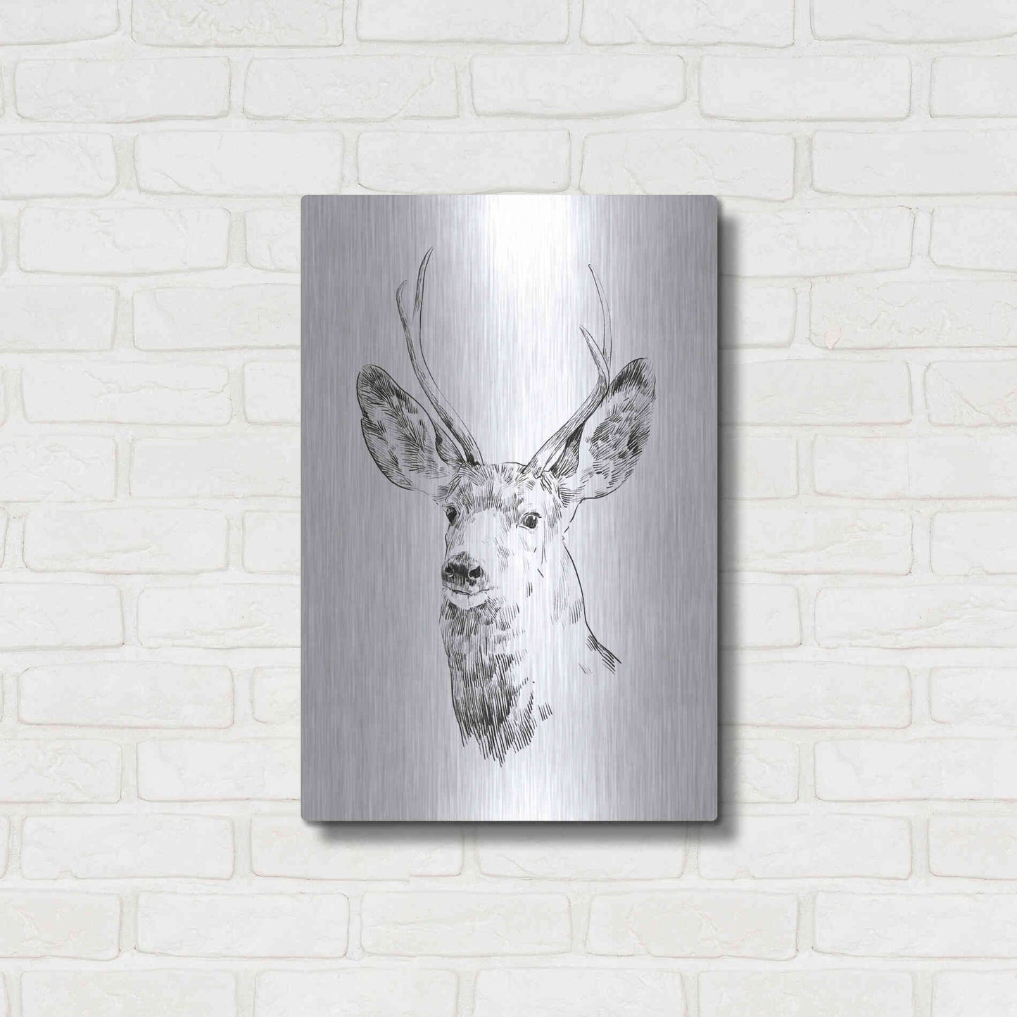 Luxe Metal Art 'Young Buck Sketch IV' by Emma Scarvey, Metal Wall Art,16x24