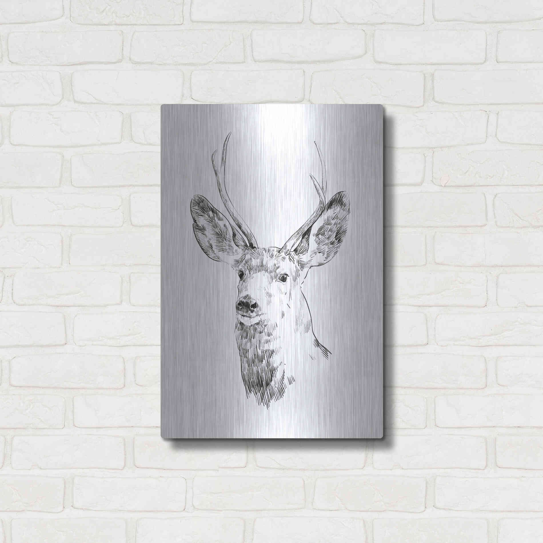 Luxe Metal Art 'Young Buck Sketch IV' by Emma Scarvey, Metal Wall Art,16x24