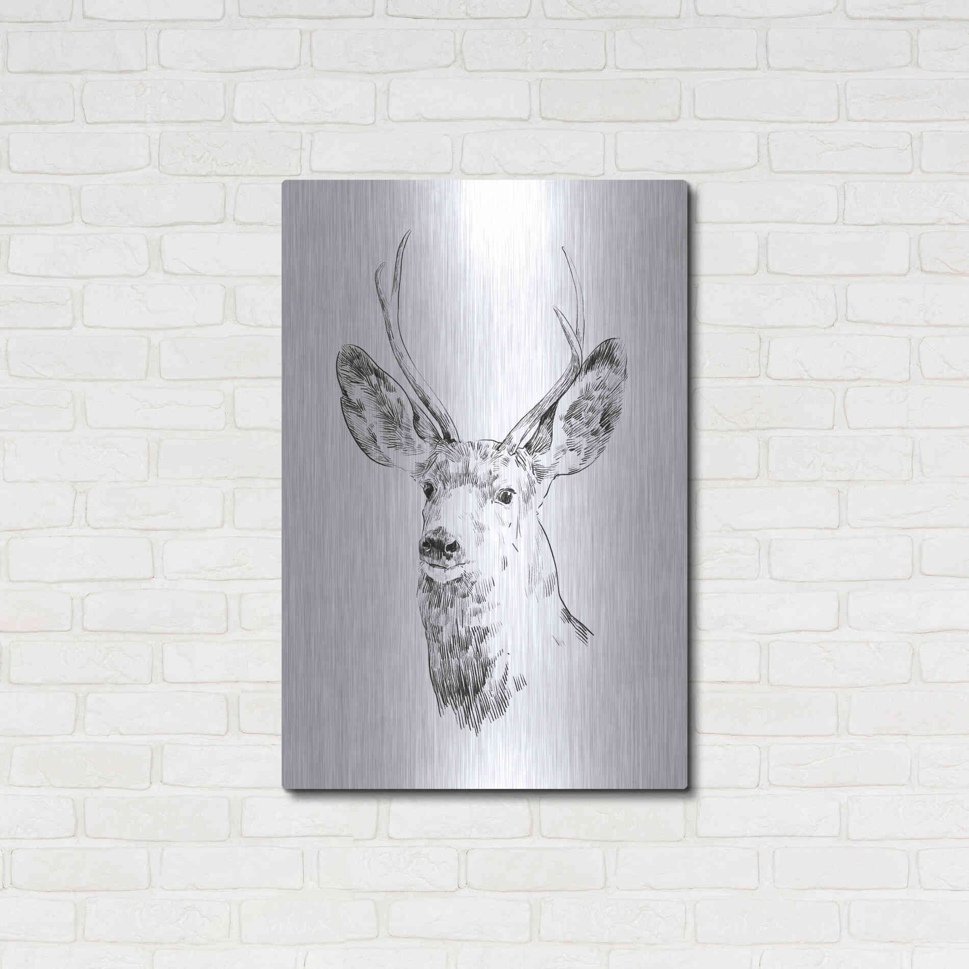 Luxe Metal Art 'Young Buck Sketch IV' by Emma Scarvey, Metal Wall Art,24x36