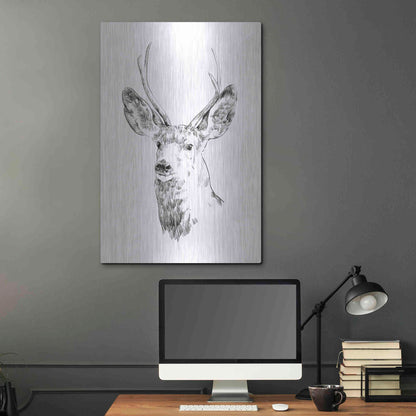 Luxe Metal Art 'Young Buck Sketch IV' by Emma Scarvey, Metal Wall Art,24x36