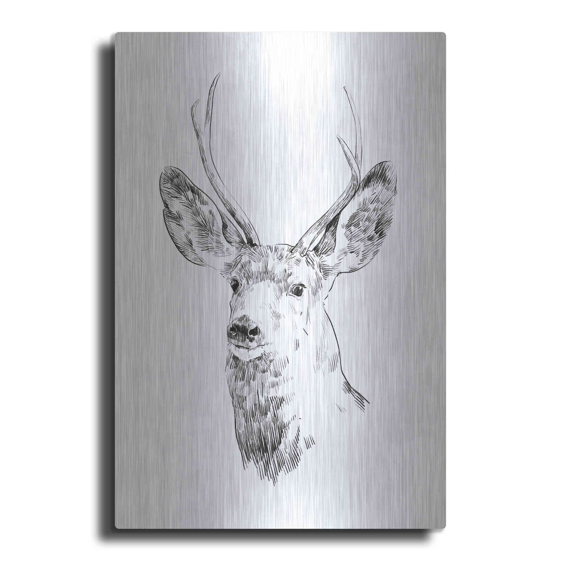 Luxe Metal Art 'Young Buck Sketch IV' by Emma Scarvey, Metal Wall Art