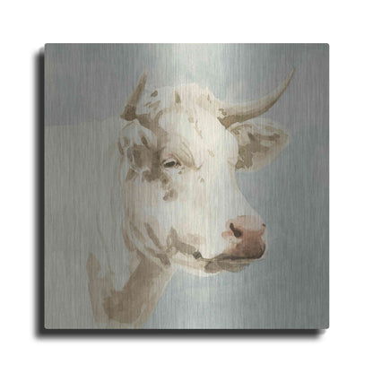 Luxe Metal Art 'Ferdinand II' by Emma Scarvey, Metal Wall Art