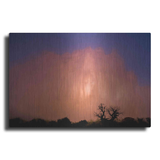 Luxe Metal Art 'Arches Morning Fog - Arches National Park' by Darren White, Metal Wall Art