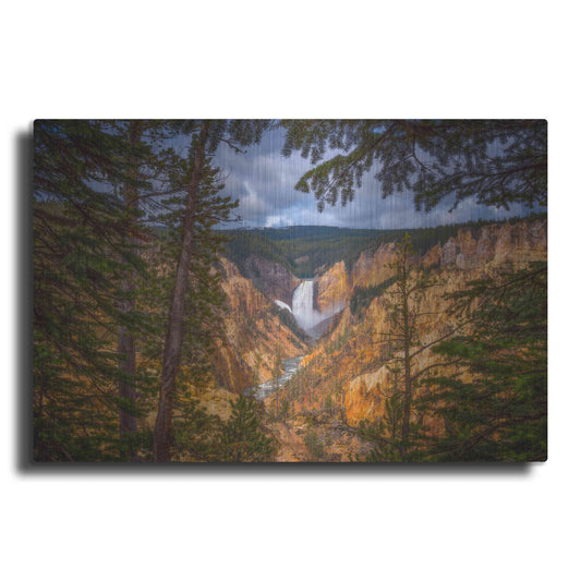 Luxe Metal Art 'Artist Point Afternoon - Yellowstone National Park' by Darren White, Metal Wall Art