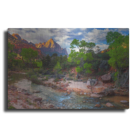 Luxe Metal Art 'Banks of Zion - Zion National Park' by Darren White, Metal Wall Art
