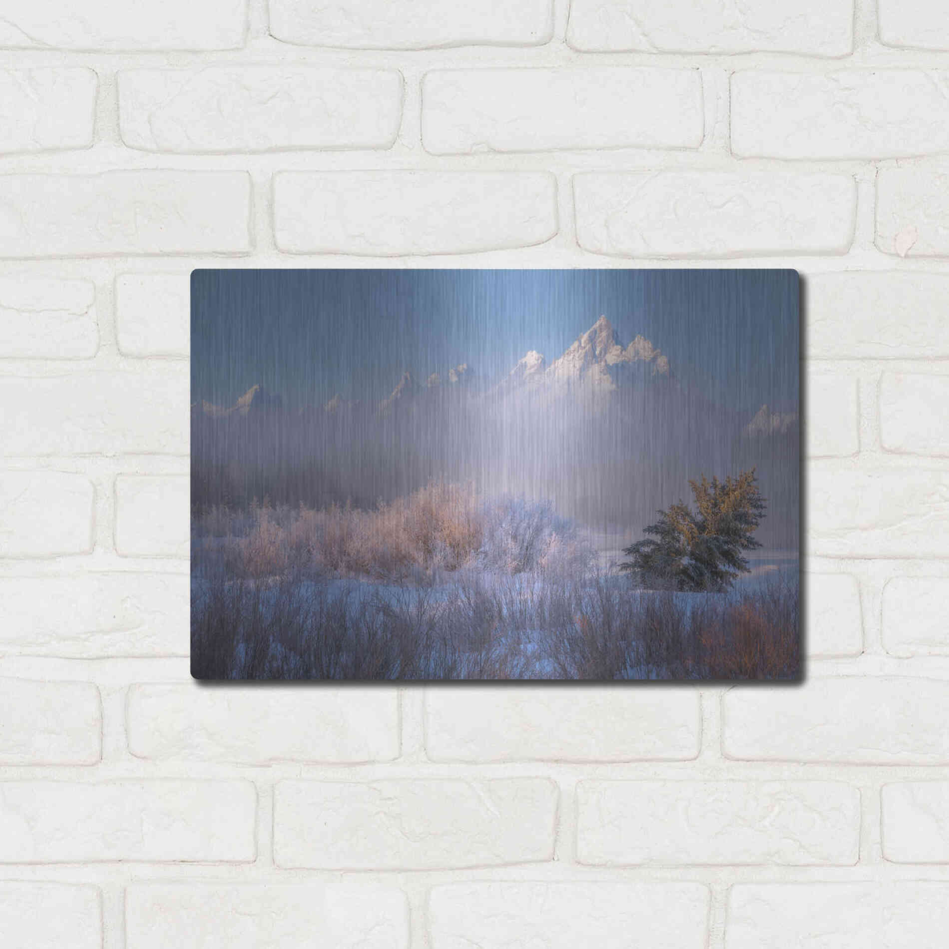 Luxe Metal Art 'Frosted and Falling - Grand Teton National Park' by Darren White, Metal Wall Art,16x12