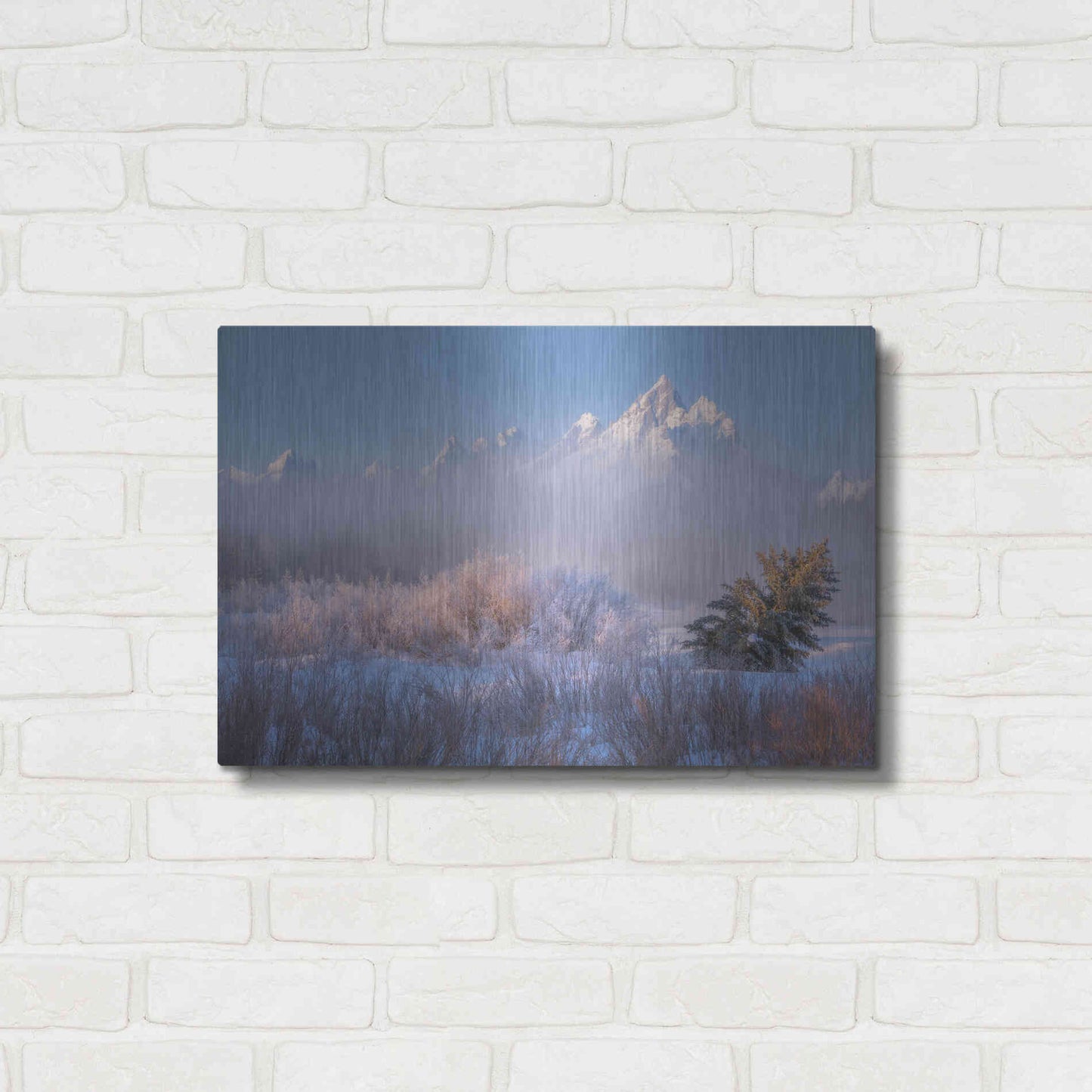 Luxe Metal Art 'Frosted and Falling - Grand Teton National Park' by Darren White, Metal Wall Art,24x16