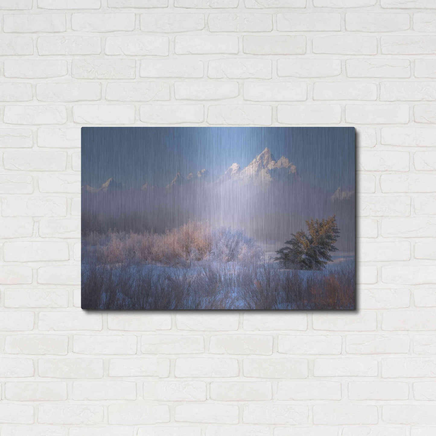 Luxe Metal Art 'Frosted and Falling - Grand Teton National Park' by Darren White, Metal Wall Art,36x24