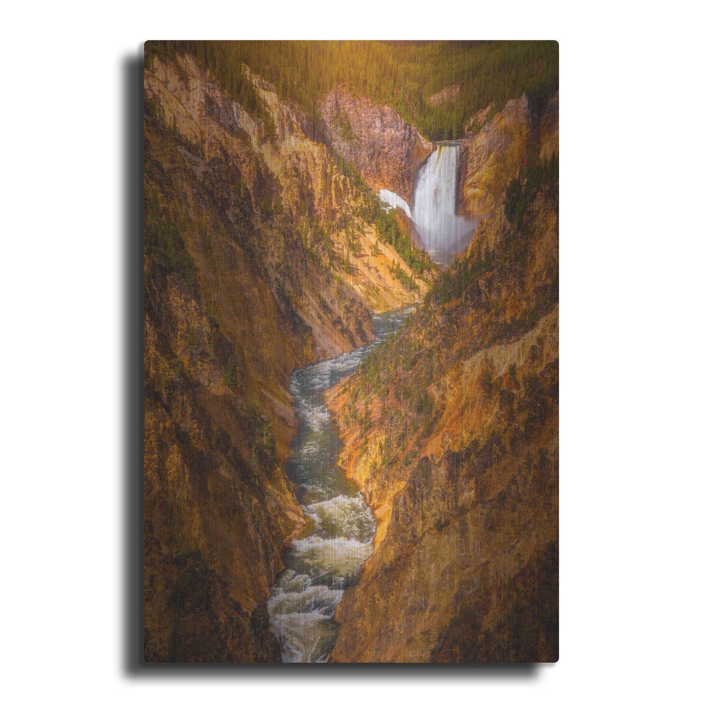 Luxe Metal Art 'Golden Falls of Yellowstone - Yellowstone National Park' by Darren White, Metal Wall Art