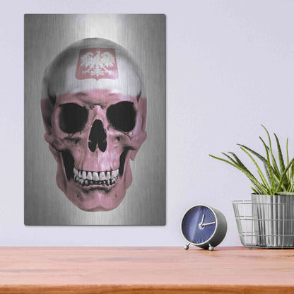 Luxe Metal Art 'Polish Skull Grey' by Nicklas Gustafsson, Metal Wall Art,12x16