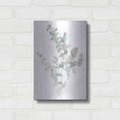Luxe Metal Art 'Eucalyptus II White' by Danhui Nai, Metal Wall Art,12x16
