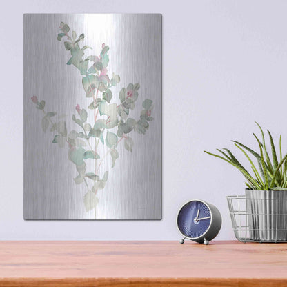 Luxe Metal Art 'Eucalyptus II White' by Danhui Nai, Metal Wall Art,12x16
