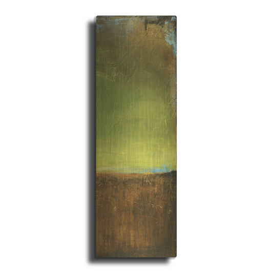 'Antigua Bay II' by Erin Ashley, Metal Wall Art