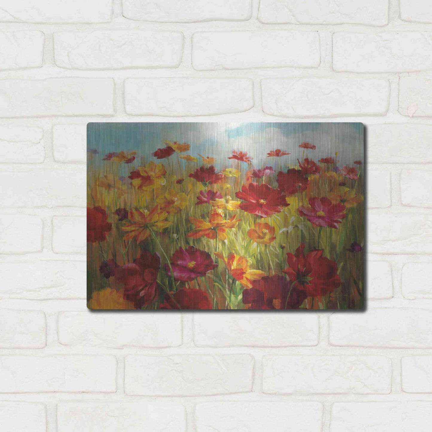 Luxe Metal Art 'Cosmos in the Field' by Danhui Nai, Metal Wall Art,16x12