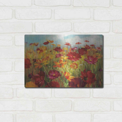 Luxe Metal Art 'Cosmos in the Field' by Danhui Nai, Metal Wall Art,16x12