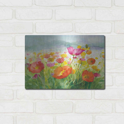 Luxe Metal Art 'Meadow Poppies' by Danhui Nai, Metal Wall Art,16x12