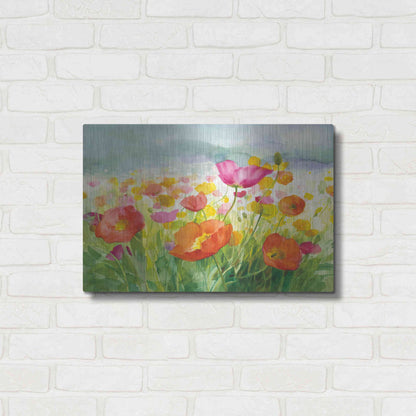 Luxe Metal Art 'Meadow Poppies' by Danhui Nai, Metal Wall Art,24x16