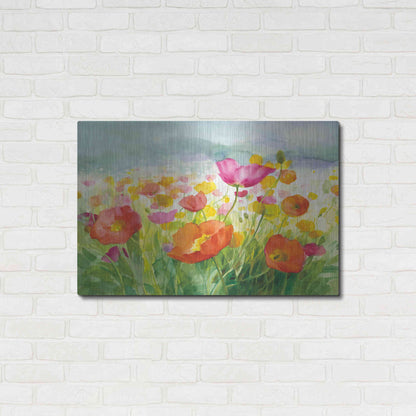 Luxe Metal Art 'Meadow Poppies' by Danhui Nai, Metal Wall Art,36x24
