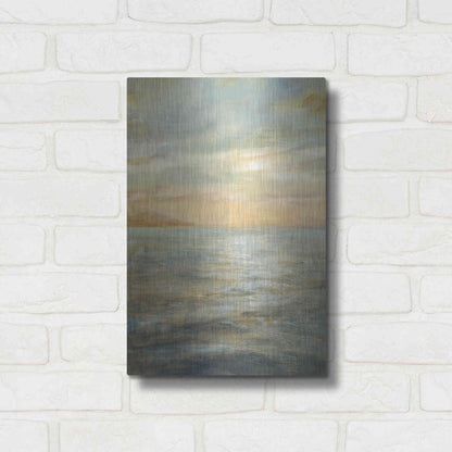 Luxe Metal Art 'Serene Sea II' by Danhui Nai, Metal Wall Art,12x16