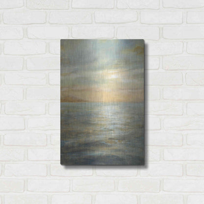 Luxe Metal Art 'Serene Sea II' by Danhui Nai, Metal Wall Art,16x24
