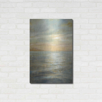 Luxe Metal Art 'Serene Sea II' by Danhui Nai, Metal Wall Art,24x36