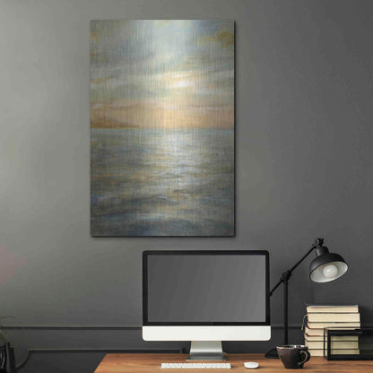 Luxe Metal Art 'Serene Sea II' by Danhui Nai, Metal Wall Art,24x36