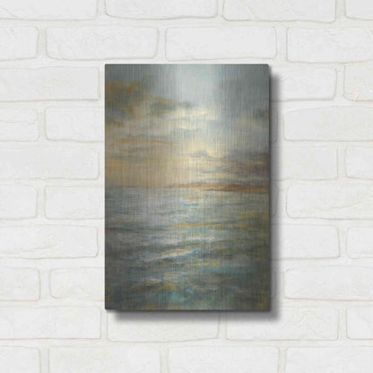 Luxe Metal Art 'Serene Sea III' by Danhui Nai, Metal Wall Art,12x16