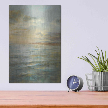 Luxe Metal Art 'Serene Sea III' by Danhui Nai, Metal Wall Art,12x16
