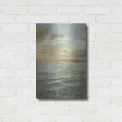 Luxe Metal Art 'Serene Sea III' by Danhui Nai, Metal Wall Art,16x24