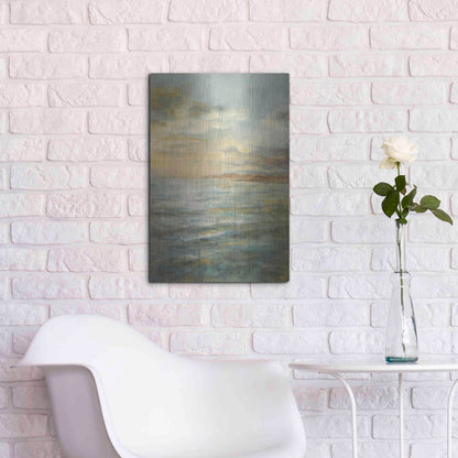 Luxe Metal Art 'Serene Sea III' by Danhui Nai, Metal Wall Art,16x24