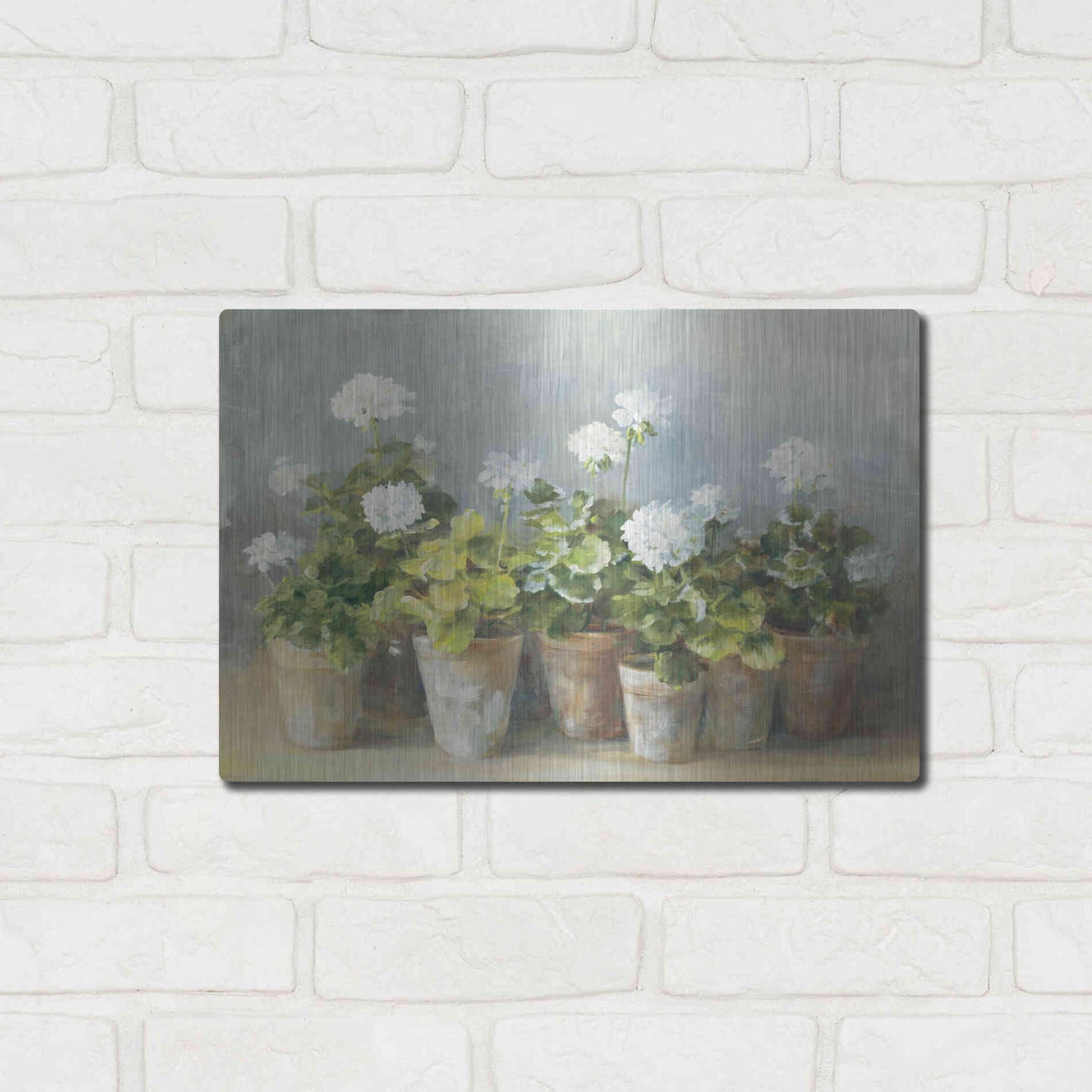 Luxe Metal Art 'White Geraniums Crop' by Danhui Nai, Metal Wall Art,16x12