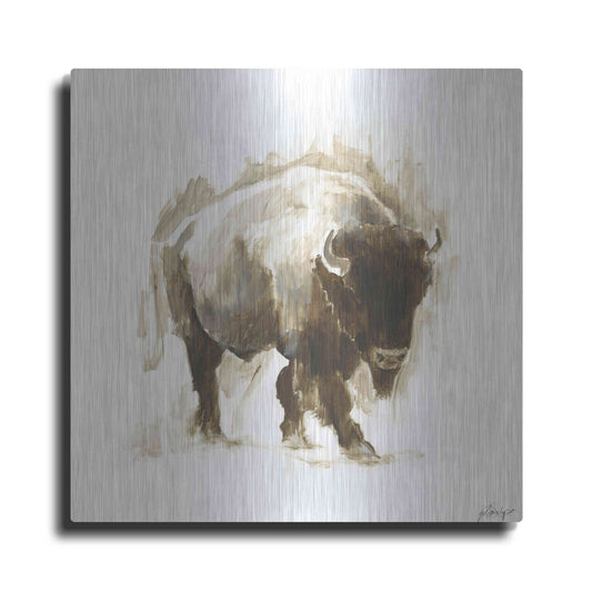 Luxe Metal Art 'Rustic Bison I' by Ethan Harper, Metal Wall Art