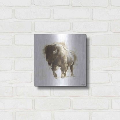 Luxe Metal Art 'Rustic Bison II' by Ethan Harper, Metal Wall Art,12x12