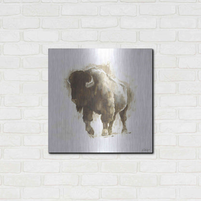 Luxe Metal Art 'Rustic Bison II' by Ethan Harper, Metal Wall Art,24x24