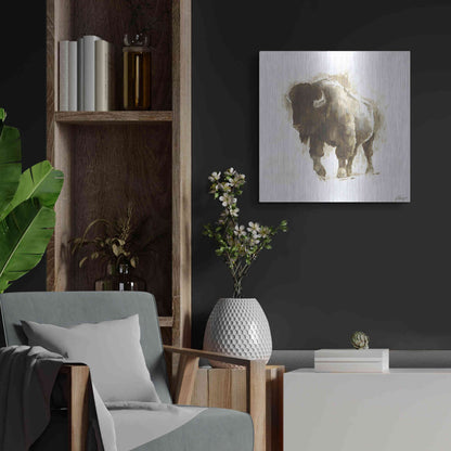 Luxe Metal Art 'Rustic Bison II' by Ethan Harper, Metal Wall Art,24x24