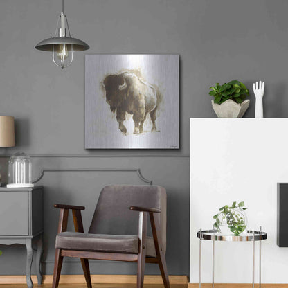 Luxe Metal Art 'Rustic Bison II' by Ethan Harper, Metal Wall Art,24x24