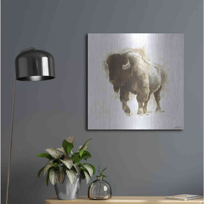 Luxe Metal Art 'Rustic Bison II' by Ethan Harper, Metal Wall Art,24x24