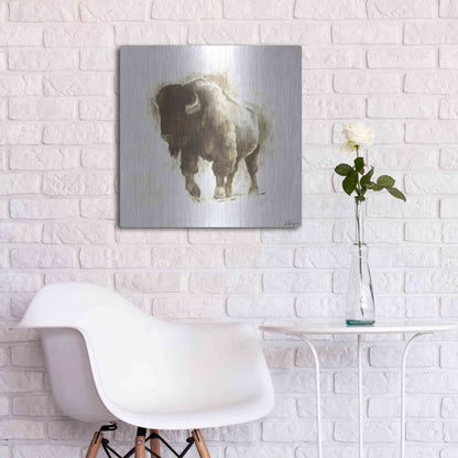 Luxe Metal Art 'Rustic Bison II' by Ethan Harper, Metal Wall Art,24x24