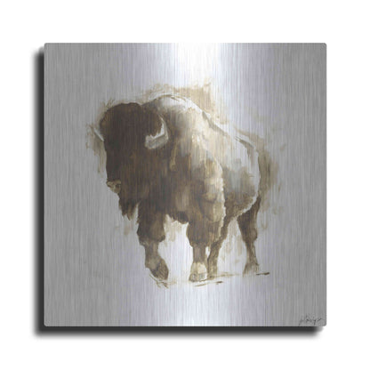 Luxe Metal Art 'Rustic Bison II' by Ethan Harper, Metal Wall Art