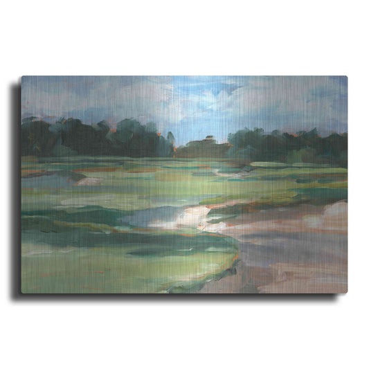 Luxe Metal Art 'Golf Course Study II' by Ethan Harper, Metal Wall Art