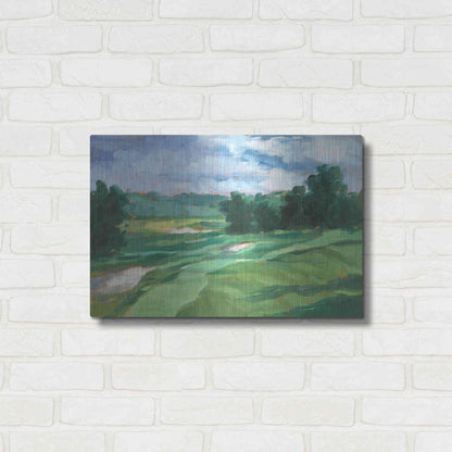 Luxe Metal Art 'Golf Course Study IV' by Ethan Harper, Metal Wall Art,24x16