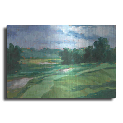 Luxe Metal Art 'Golf Course Study IV' by Ethan Harper, Metal Wall Art