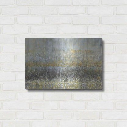 Luxe Metal Art 'Rain Abstract II Crop' by Danhui Nai, Metal Wall Art,24x16