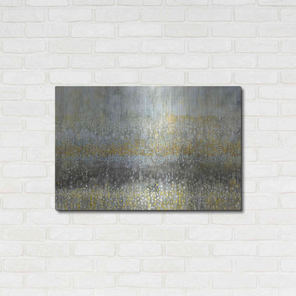 Luxe Metal Art 'Rain Abstract II Crop' by Danhui Nai, Metal Wall Art,36x24