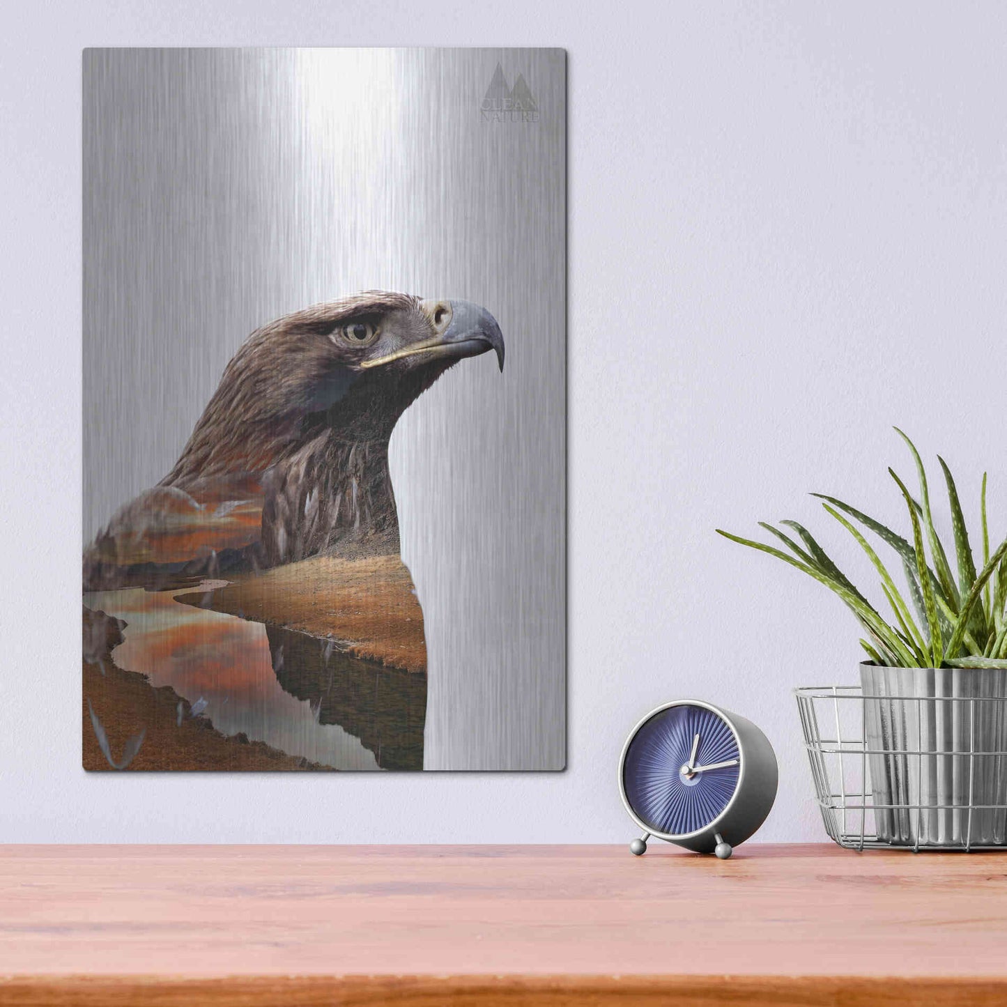 Luxe Metal Art 'Eagle' by Clean Nature, Metal Wall Art,12x16