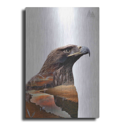 Luxe Metal Art 'Eagle' by Clean Nature, Metal Wall Art