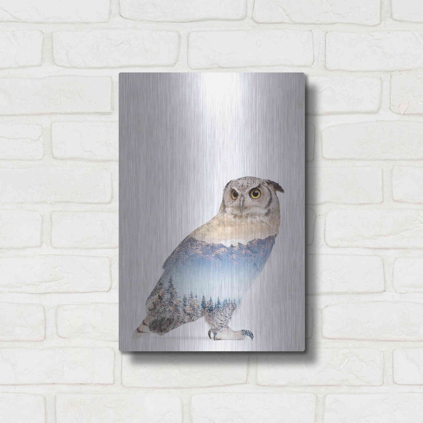 Luxe Metal Art 'Snow Owl I' by Clean Nature, Metal Wall Art,12x16