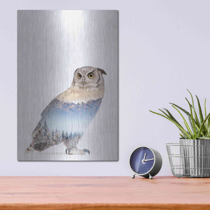 Luxe Metal Art 'Snow Owl I' by Clean Nature, Metal Wall Art,12x16